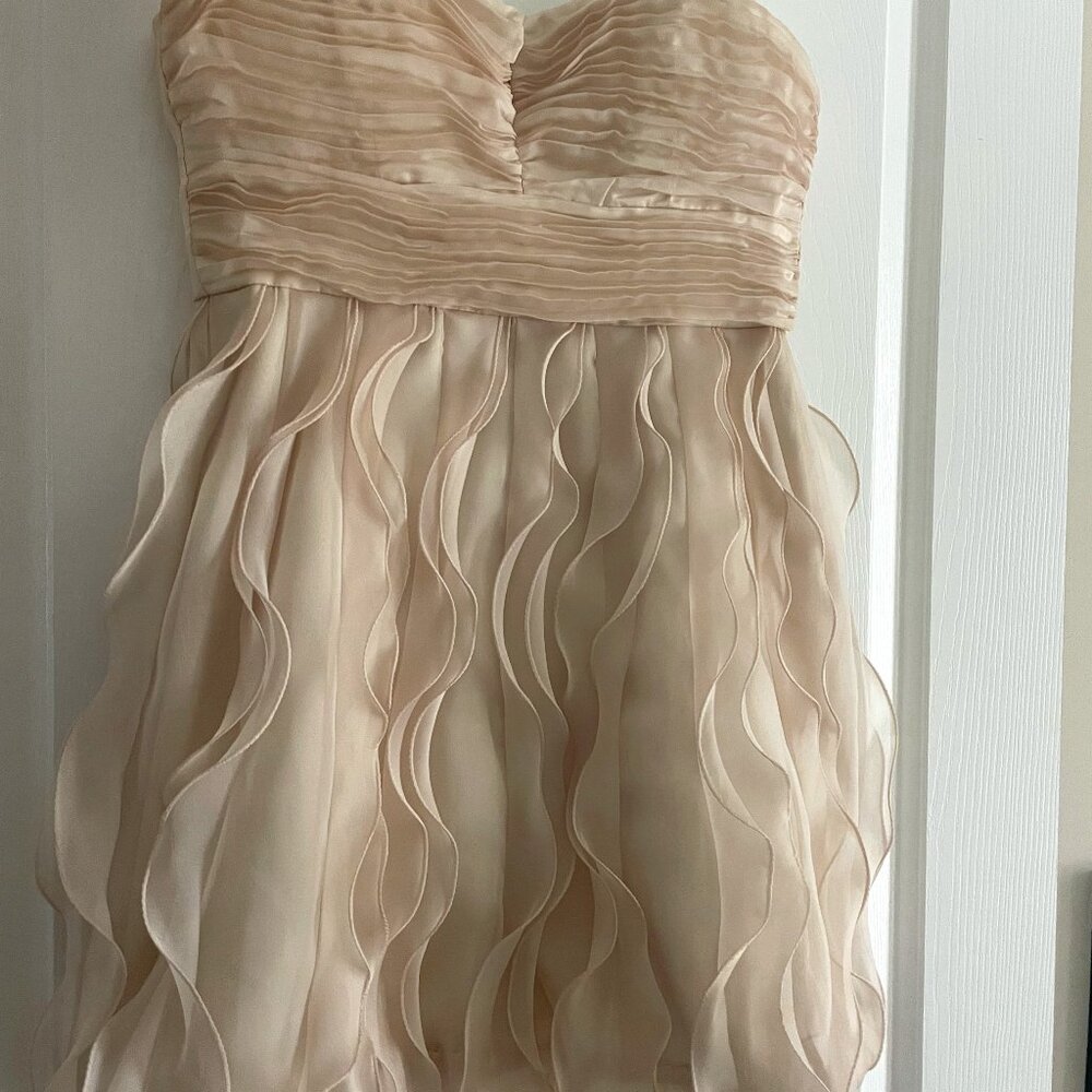 Max & Cleo Champagne Strapless Cocktail Dress